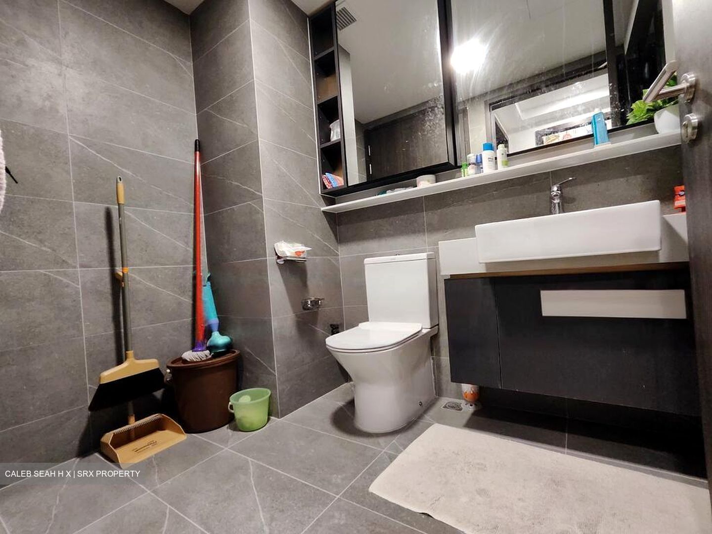 Riverfront Residences (D19), Apartment #481173041